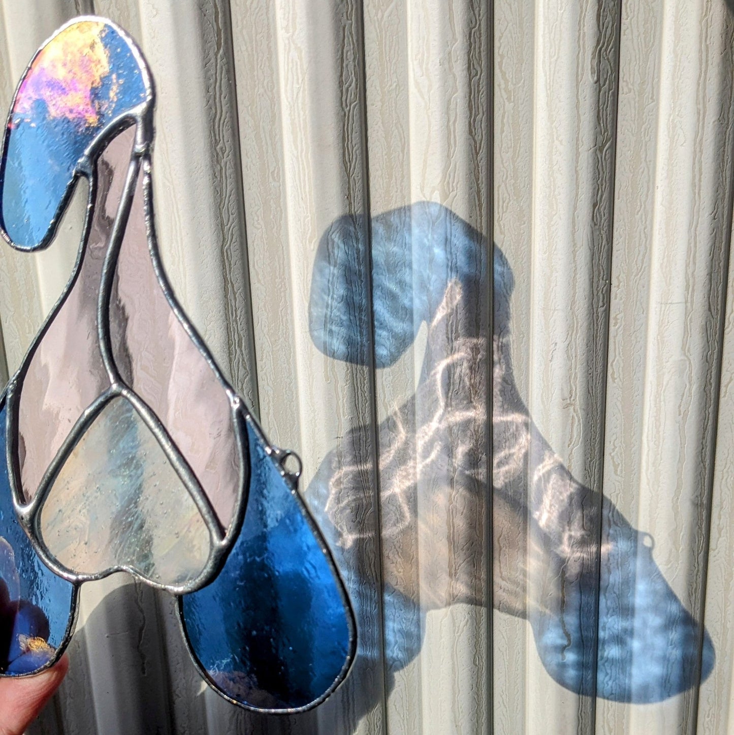 Dickclit Irisé 🏳️⚧️ - Tue Lamour